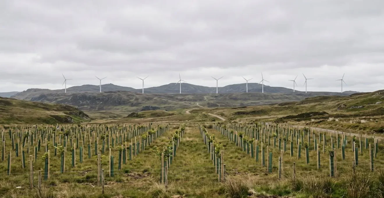 Représentation conceptuelle de la compensation carbone dans le secteur aérien illustrant le débat entre projets forestiers et énergies renouvelables