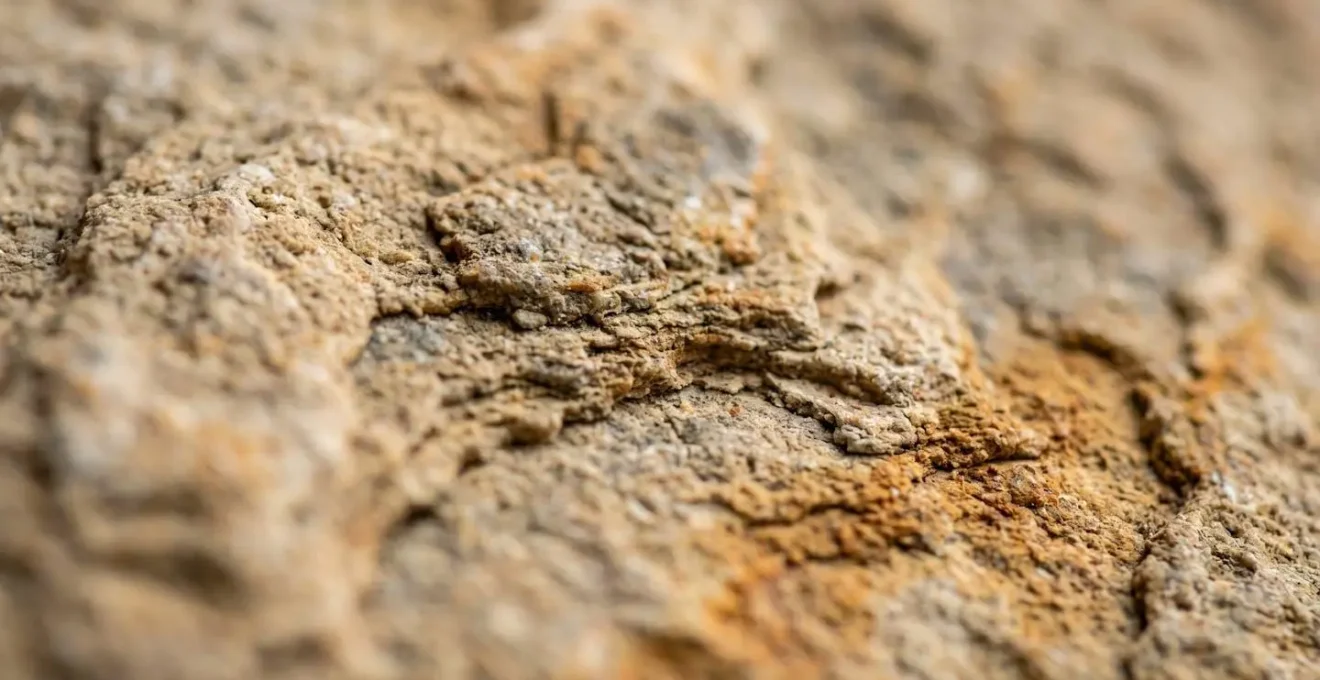 Gros plan sur la texture d'une pierre millénaire révélant son grain et ses strates